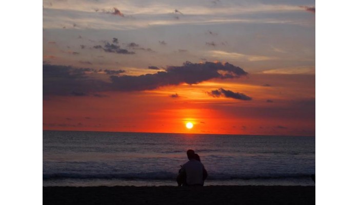 Hotel Artemis Villa poza 1