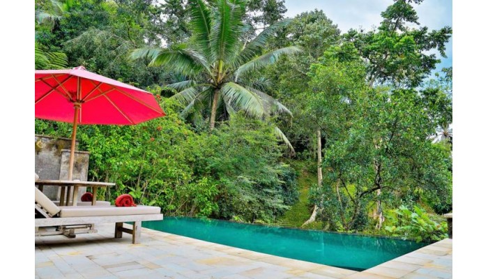 Ayung Resort Ubud poza 15