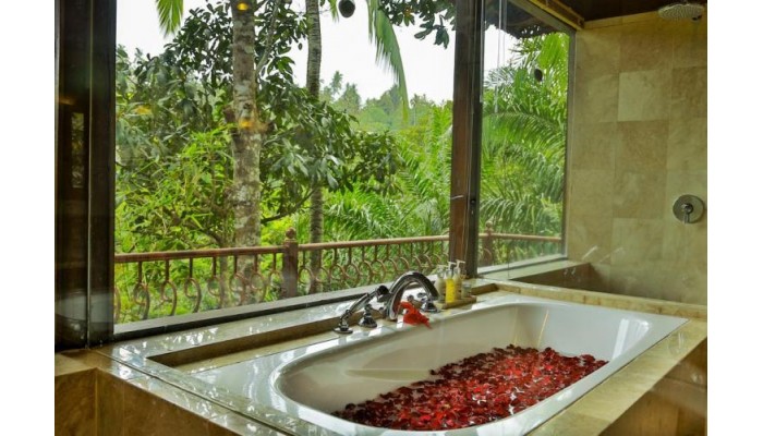 Ayung Resort Ubud poza 9