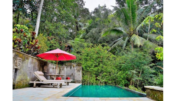 Ayung Resort Ubud poza 12