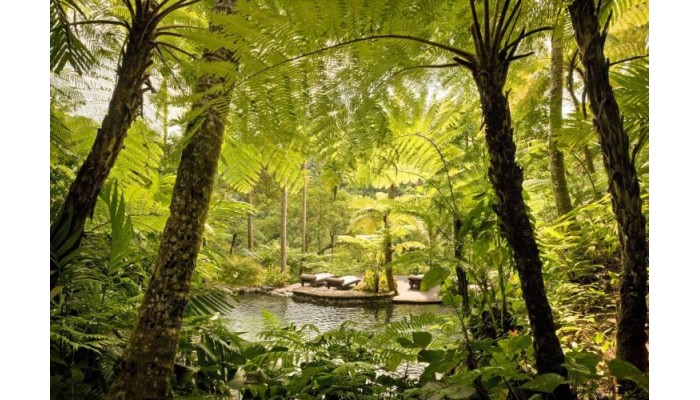 Hotel Como Shambhala Estate poza 7