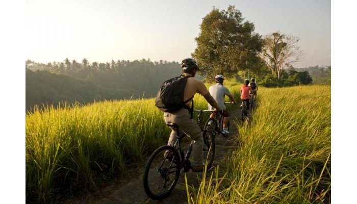 Hotel Como Uma Ubud poza 19
