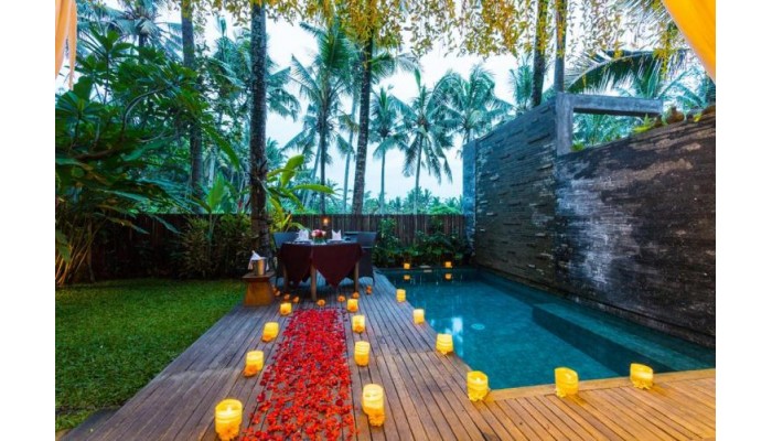 Hotel De Ubud Villas Spa poza 3