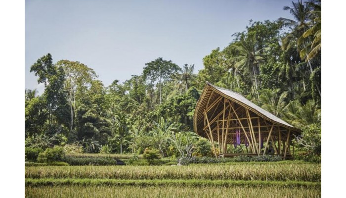 Four Seasons Resorts Bali At Sayan poza 1