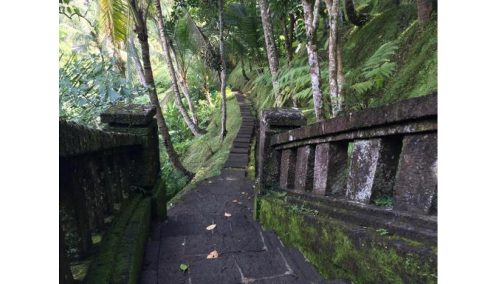 Poza pentru Hotel Hanging Gardens Of Bali 482-1539334819 Hotel Hanging Gardens Of Bali poza 14