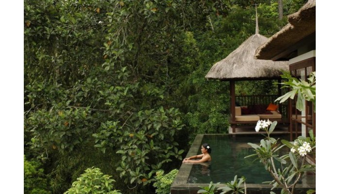 Poza pentru Hotel Hanging Gardens Of Bali 749-1539334817 Hotel Hanging Gardens Of Bali poza 2