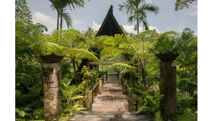Hotel Komaneka At Bisma poza 16