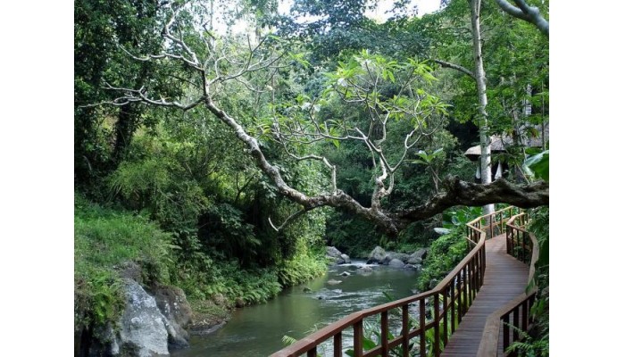 Maya Ubud Resort & Spa poza 11