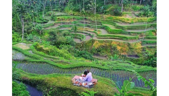 The Kayon Resort poza 6