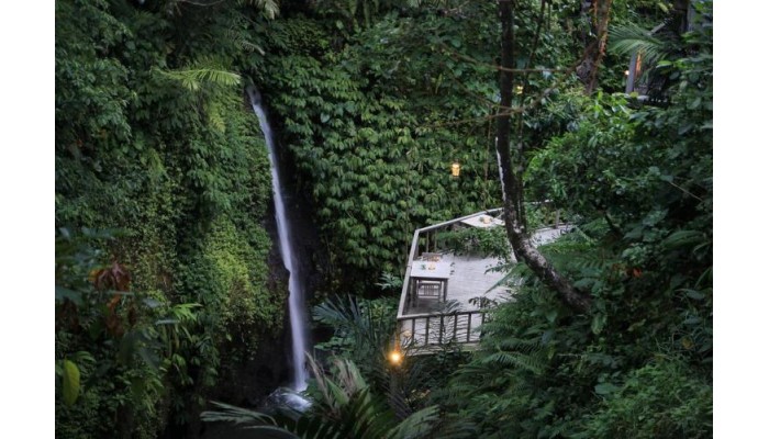 The Kayon Resort poza 1