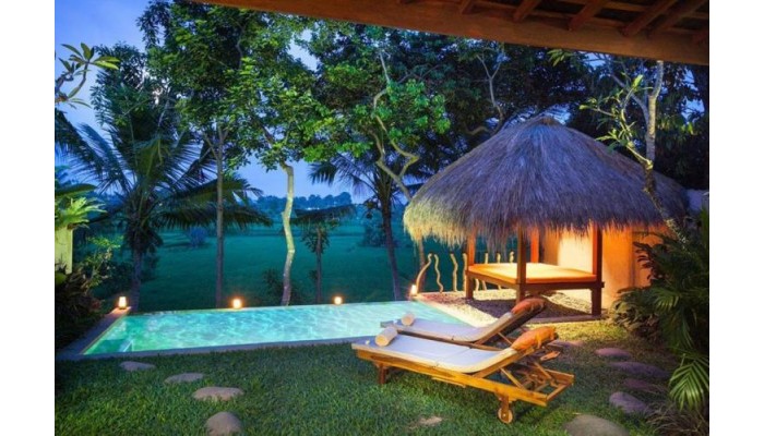 Hotel Ubud Padi Villas poza 0