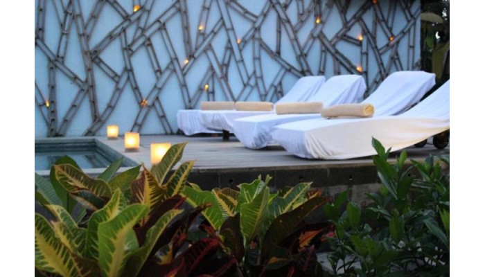 Hotel Ubud Padi Villas poza 5