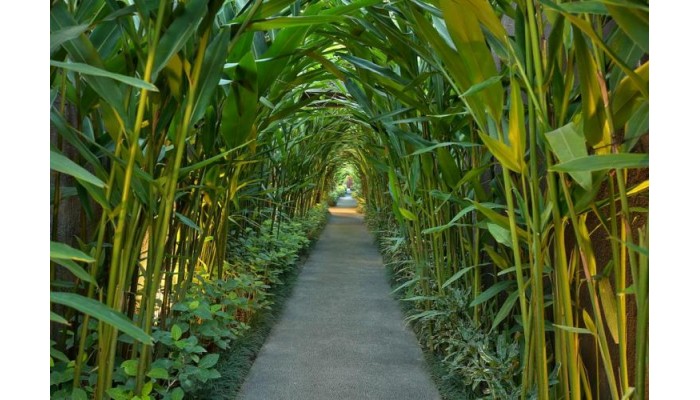 Hotel Ziva A Boutique Villa poza 10