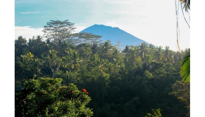 The Payogan Villa Resort & Spa poza 2