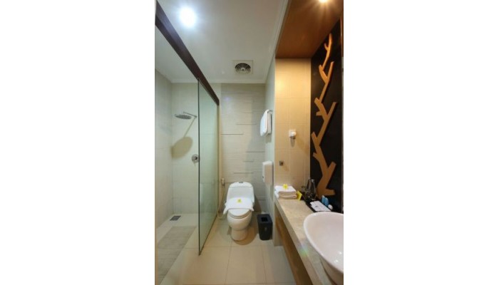 Adhi Jaya Hotel Kuta poza 7