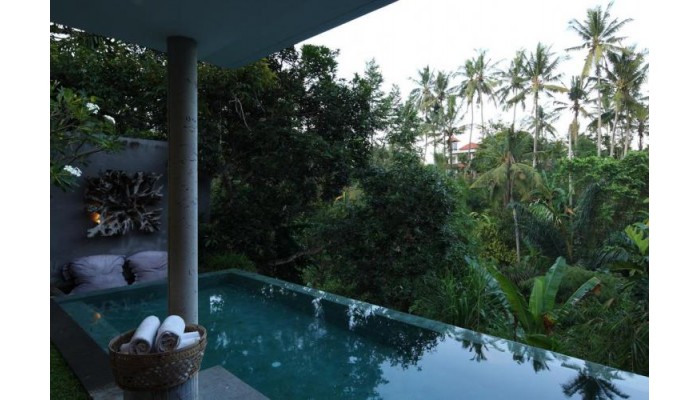 Hotel Aria Villas Ubud poza 9