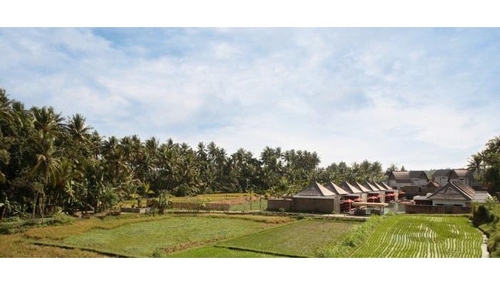 Hotel Furama Villas And Spa Ubud poza 0