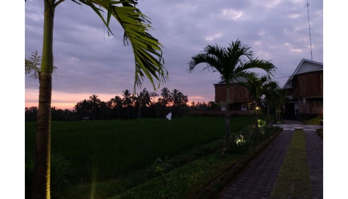 Hotel Green Fields Luxury Villas poza 7