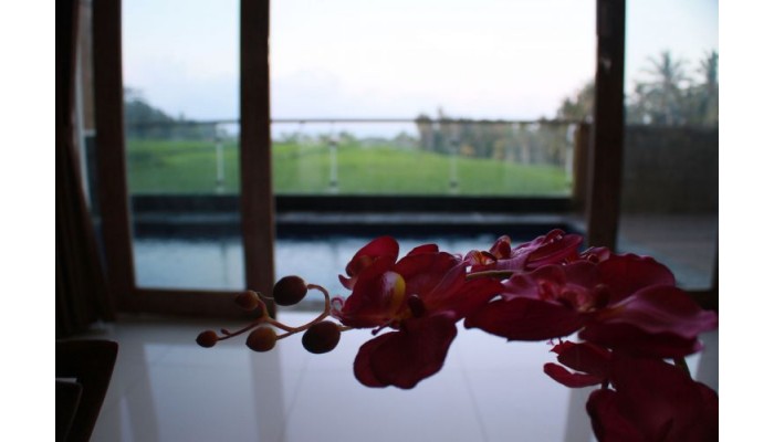 Hotel Green Fields Luxury Villas poza 0