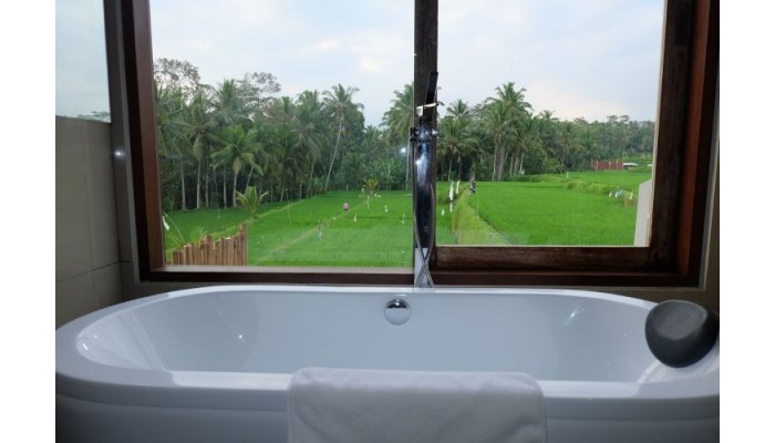 Hotel Green Fields Luxury Villas poza 11