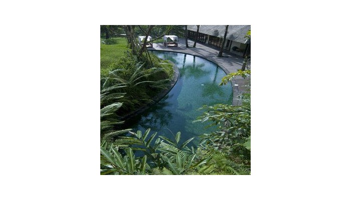 Hotel Komaneka At Bisma poza 13