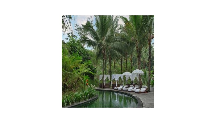 Hotel Komaneka At Bisma poza 7