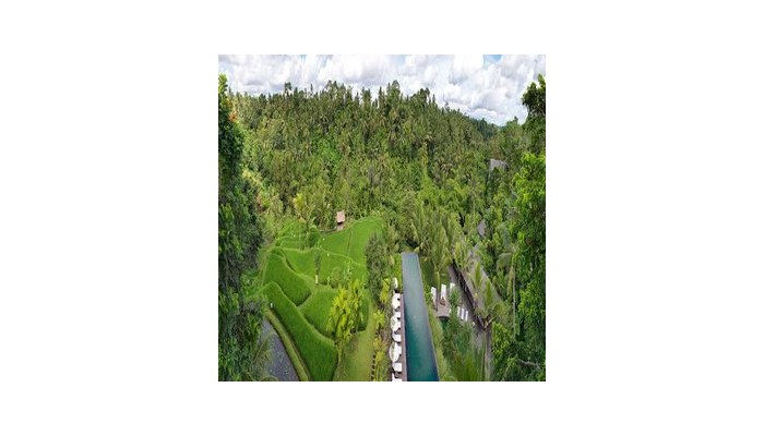 Hotel Komaneka At Bisma poza 11