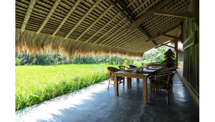 Hotel Sapulidi Ubud - Bali poza 14