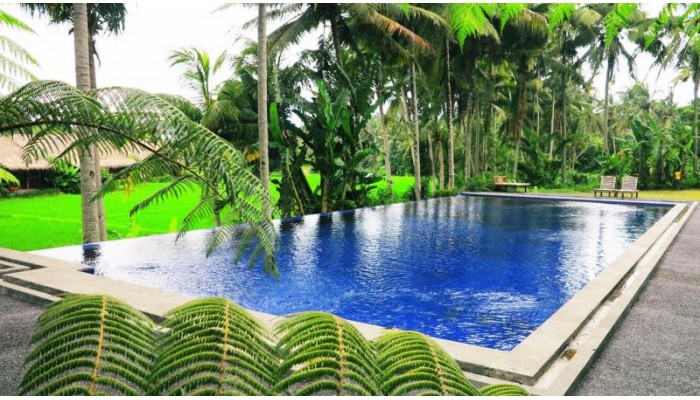 Hotel Sapulidi Ubud - Bali poza 7