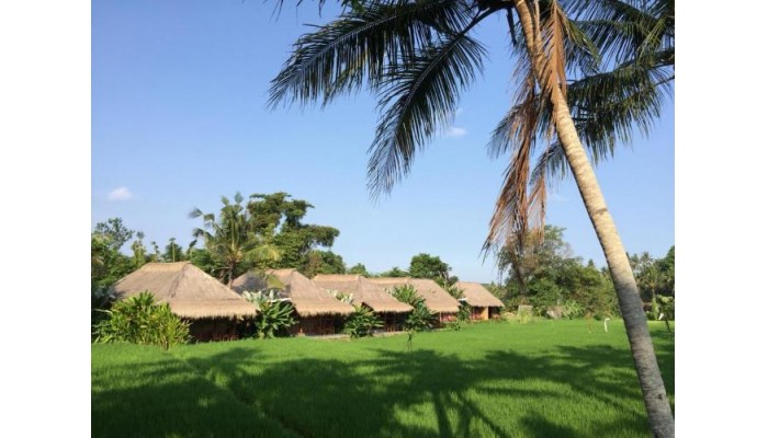 Hotel Sapulidi Ubud - Bali poza 15