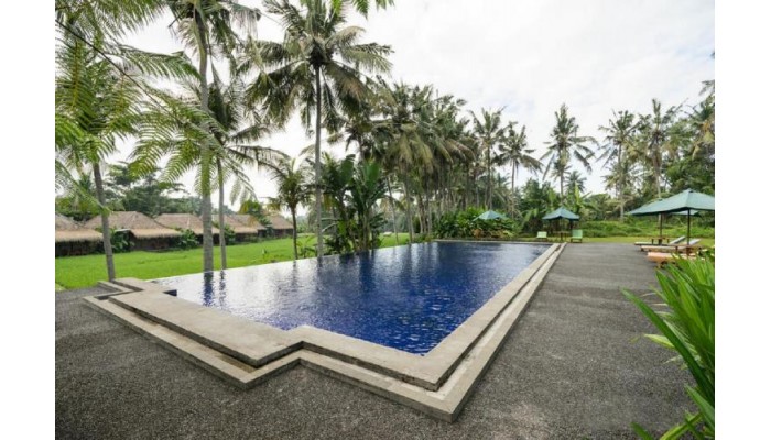 Hotel Sapulidi Ubud - Bali poza 0