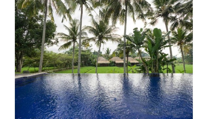 Hotel Sapulidi Ubud - Bali poza 10